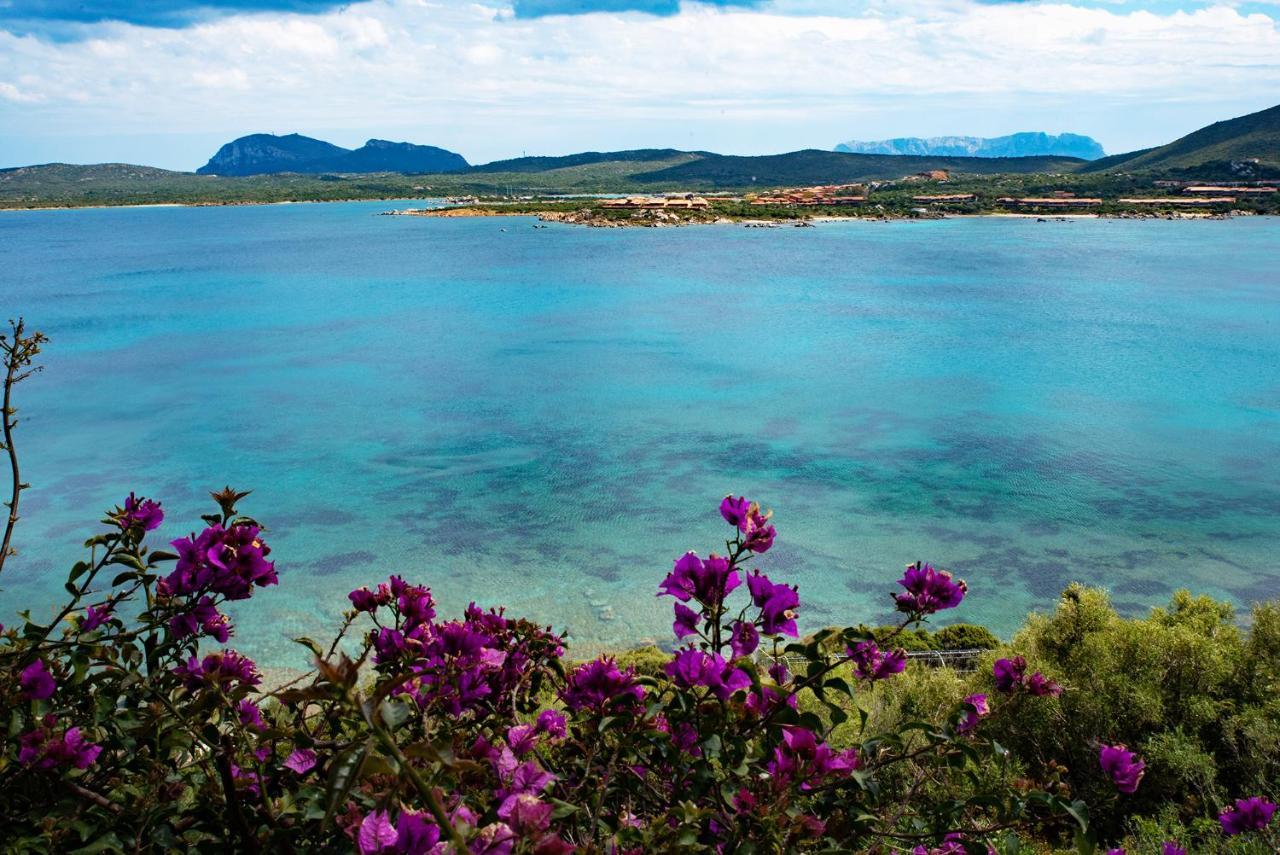 Casa Valery Wonderful Sea View Lejlighed Porto Rotondo Eksteriør billede