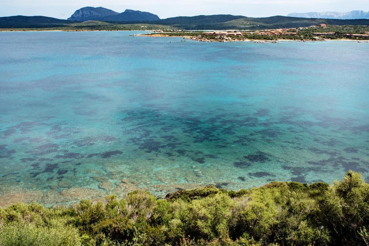 Casa Valery Wonderful Sea View Lejlighed Porto Rotondo Eksteriør billede